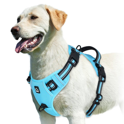 Harnais chien | Confort Secure - empire chien