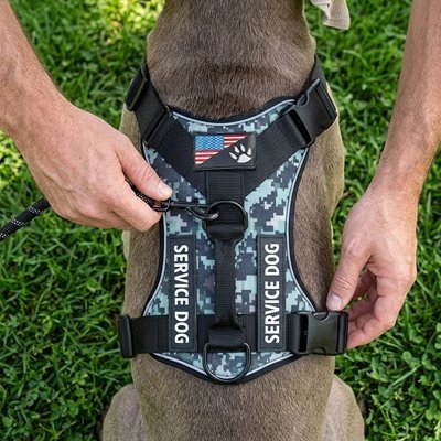 Harnais chien | ConforTrax - empire chien