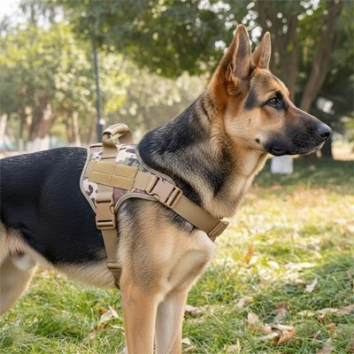 Harnais chien | FortHarnais - empire chien