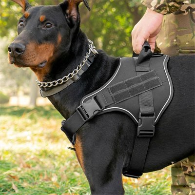 Harnais chien | FortHarnais - empire chien