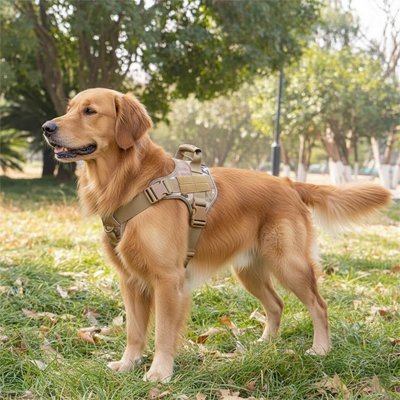 Harnais chien | FortHarnais - empire chien