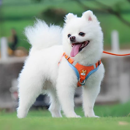 Harnais chien | HarniGo - empire chien