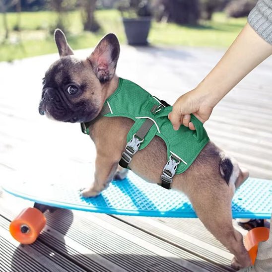 Harnais chien | Harnilux - empire chien