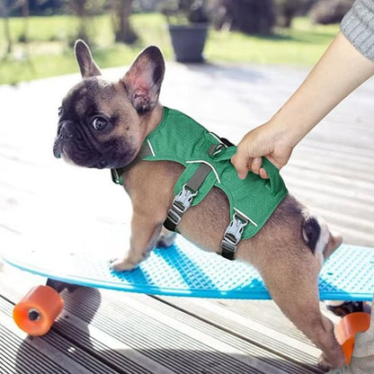 Harnais chien | Harnilux - empire chien