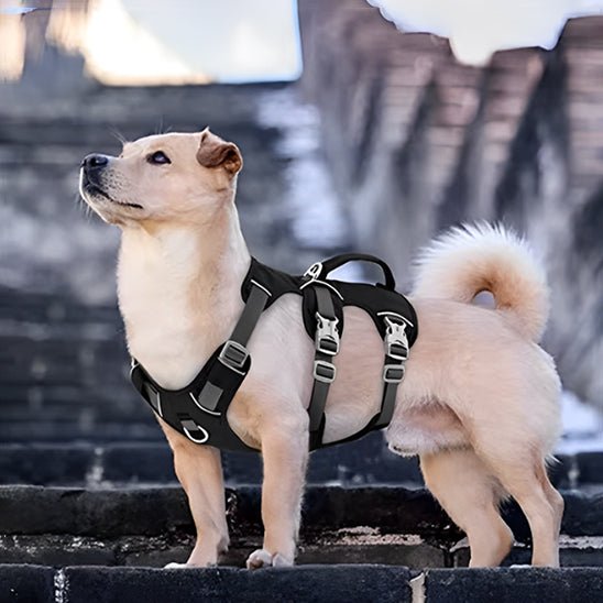 Harnais chien | Harnilux - empire chien