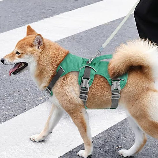 Harnais chien | Harnilux - empire chien