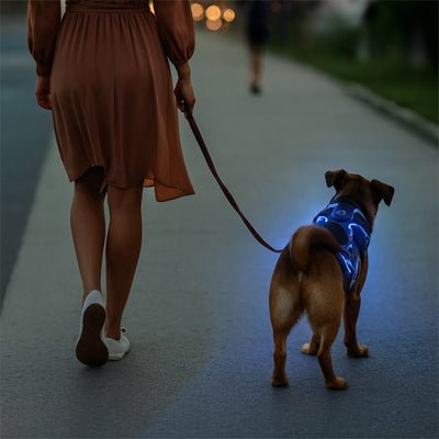 Harnais chien | LumiHarnais - empire chien