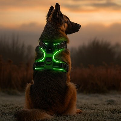 Harnais chien | LumiHarnais - empire chien