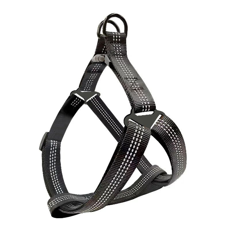 Harnais chien | Y - Confort - empire chien