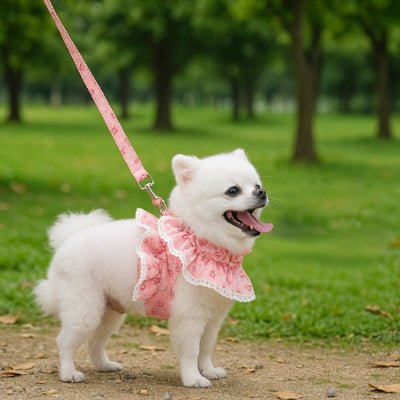 Harnais petit chien | HarnaisRose - empire chien