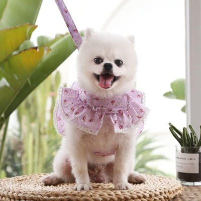 Harnais petit chien | HarnaisRose - empire chien