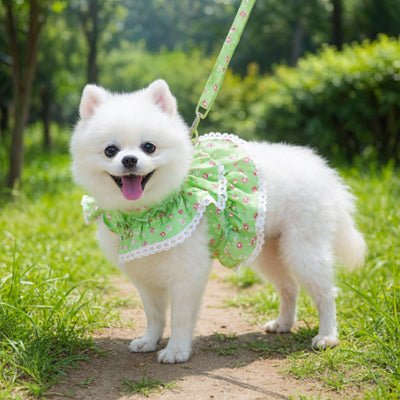Harnais petit chien | HarnaisRose - empire chien