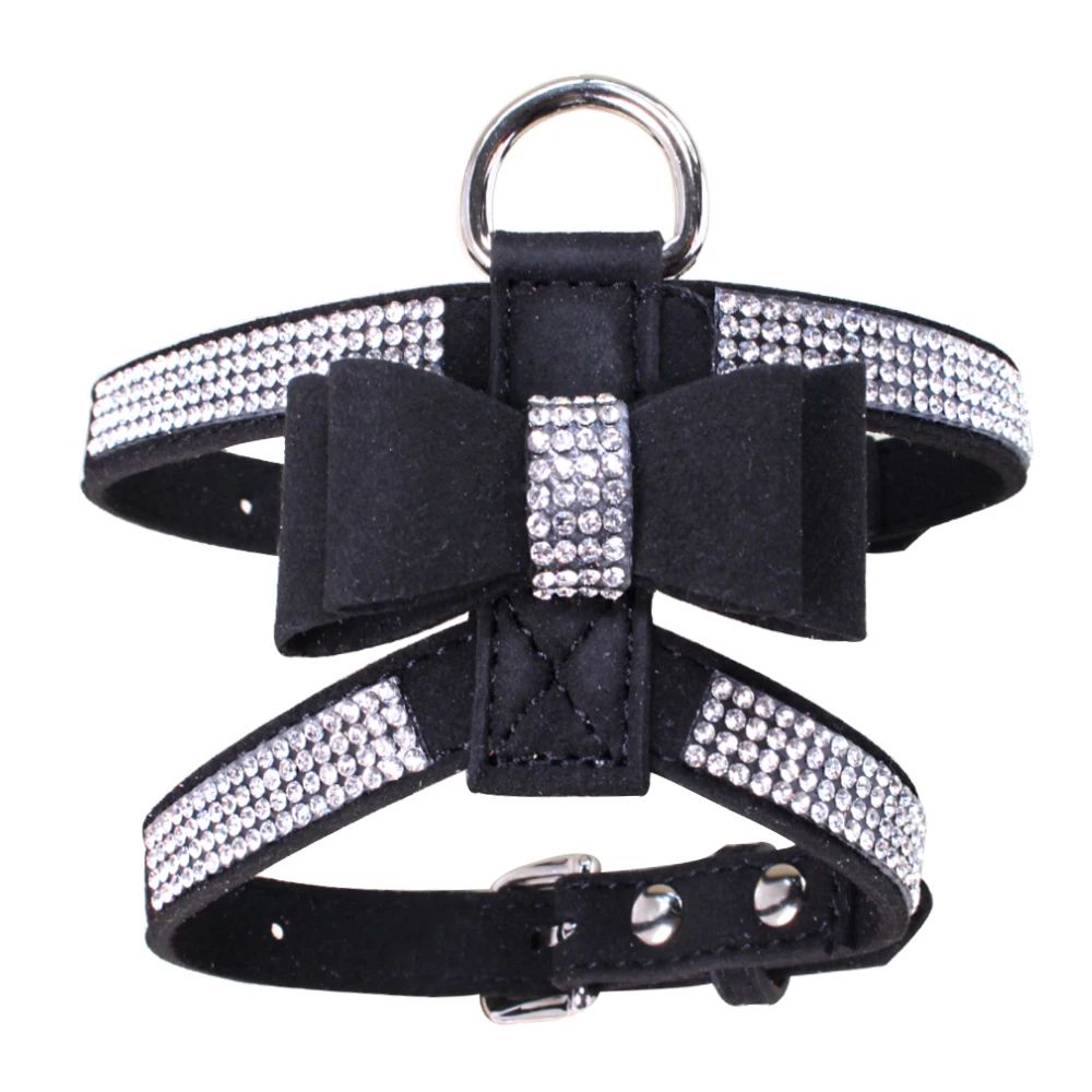 Harnais petit chien | HarnÉclat - empire chien