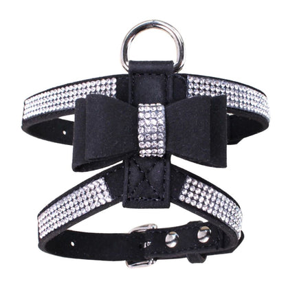 Harnais petit chien | HarnÉclat - empire chien
