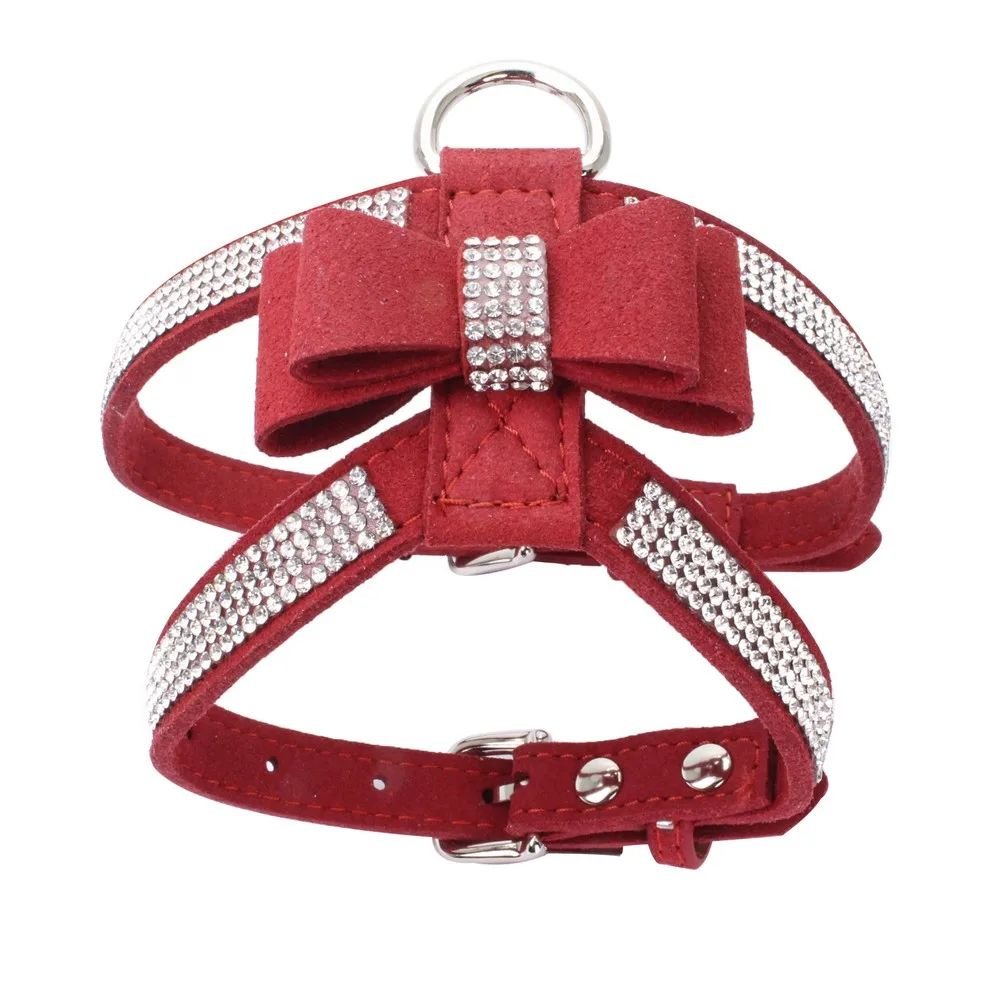 Harnais petit chien | HarnÉclat - empire chien