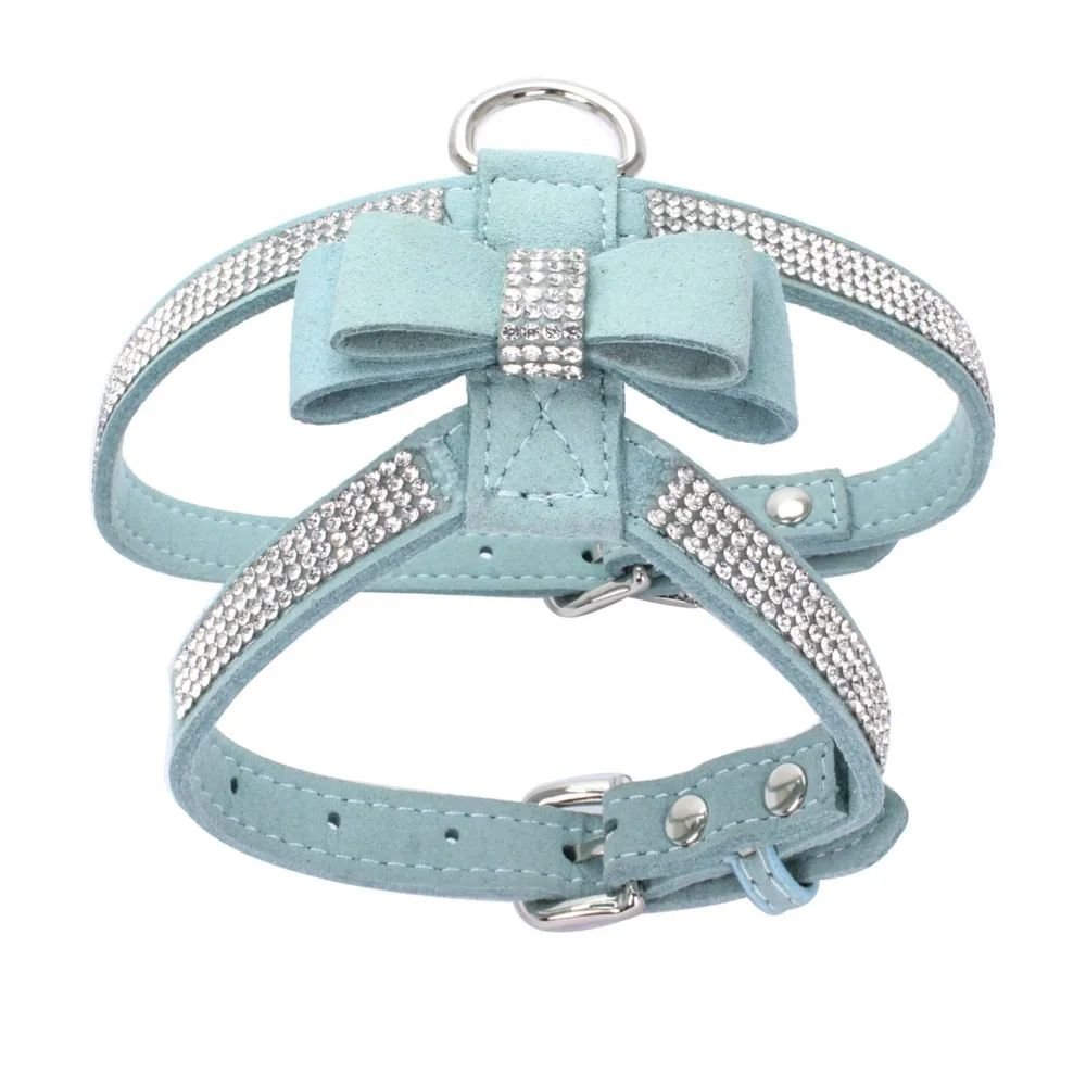 Harnais petit chien | HarnÉclat - empire chien