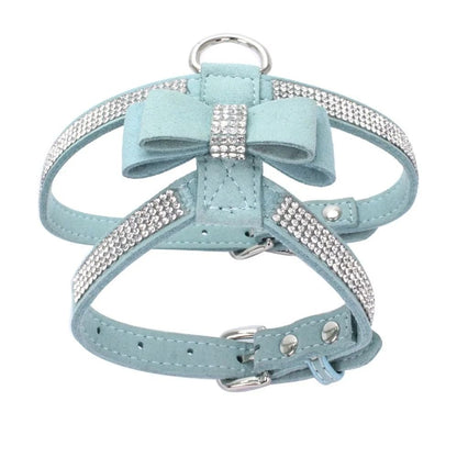 Harnais petit chien | HarnÉclat - empire chien