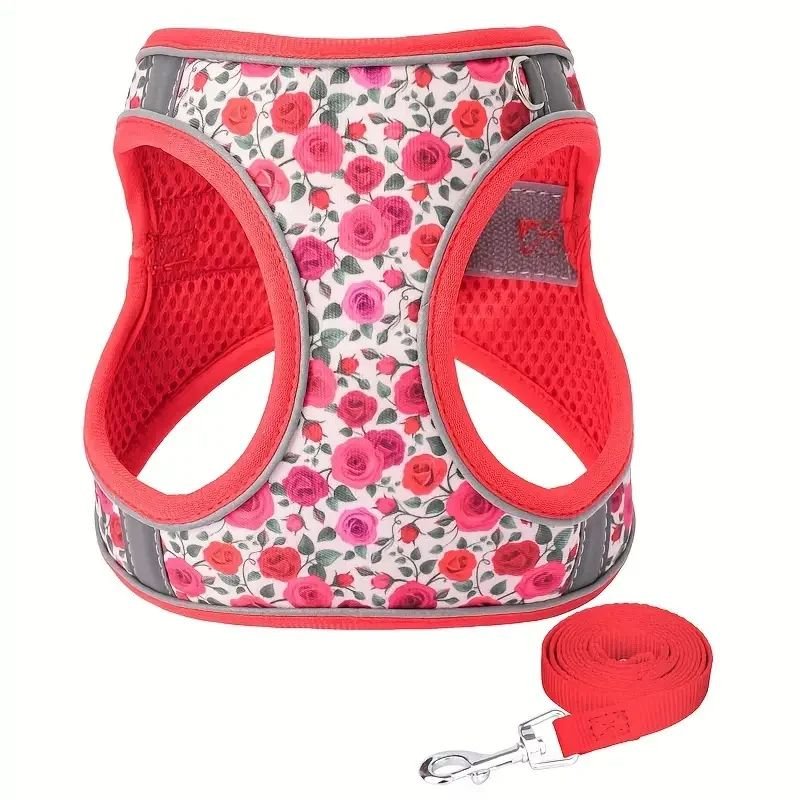 Harnais petit chien | Harnistyl - empire chien