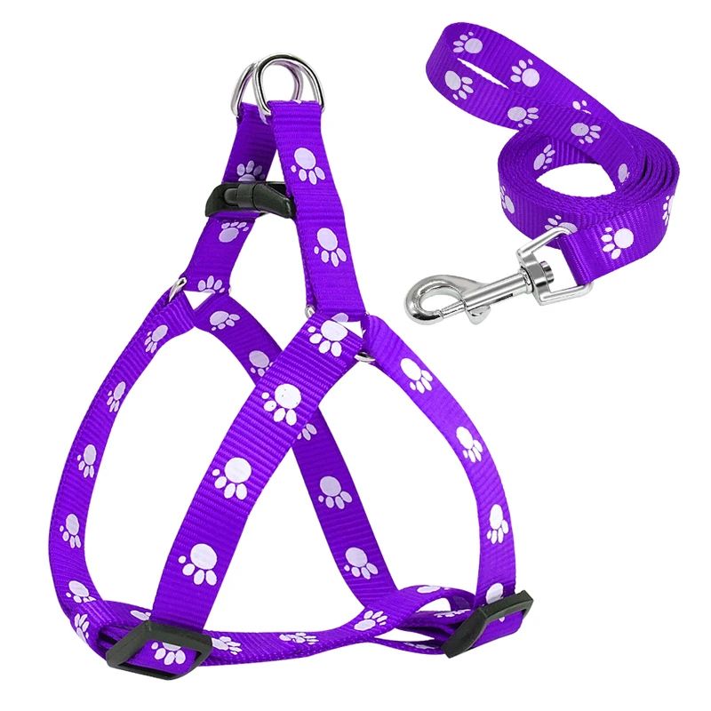 Harnais pour chien | Canifit - empire chien