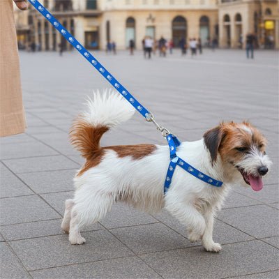 Harnais pour chien | Canifit - empire chien