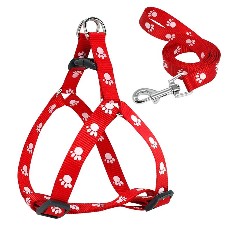 Harnais pour chien | Canifit - empire chien