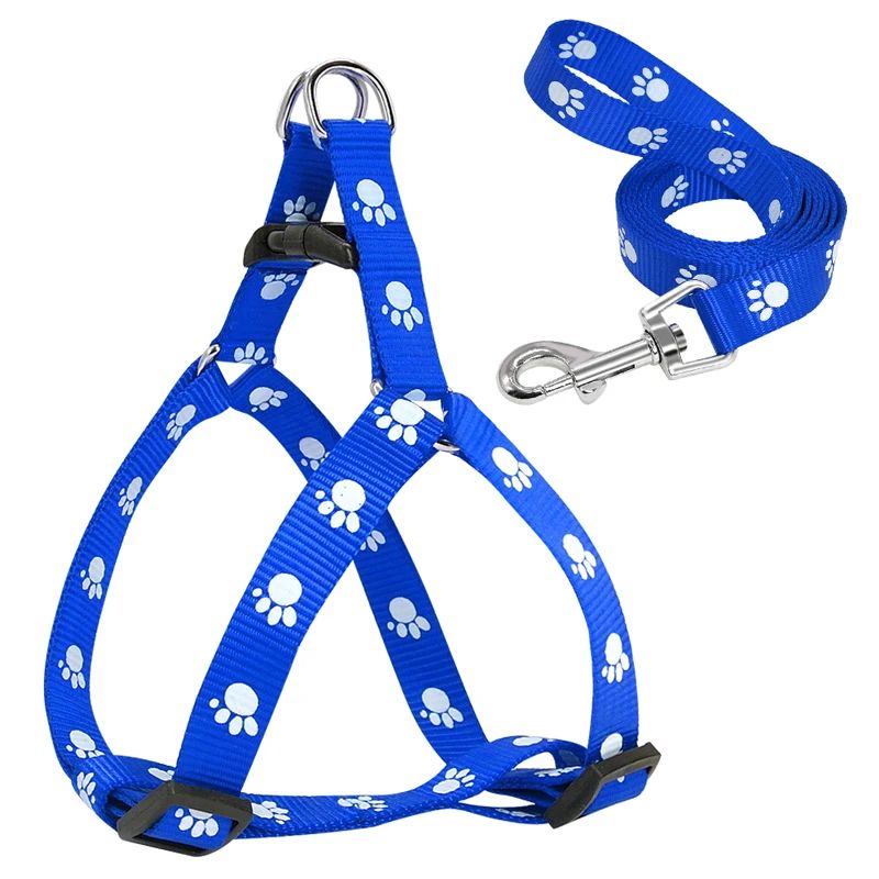 Harnais pour chien | Canifit - empire chien