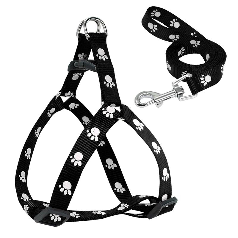 Harnais pour chien | Canifit - empire chien