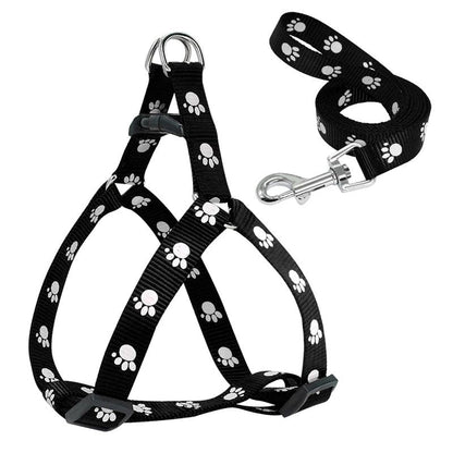 Harnais pour chien | Canifit - empire chien