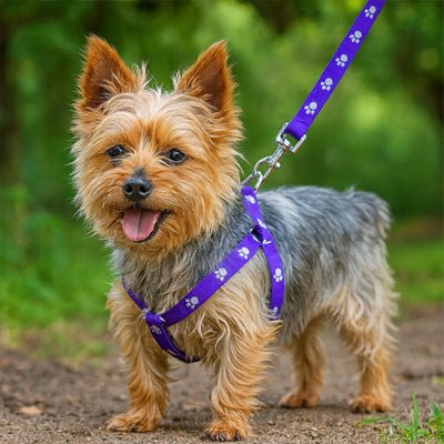 Harnais pour chien | Canifit - empire chien