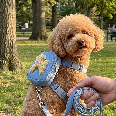 Harnais pour chien | Explora - empire chien