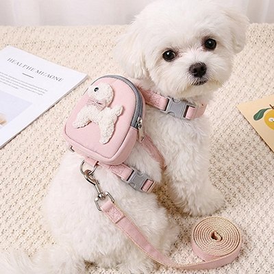 Harnais pour chien | Explora - empire chien