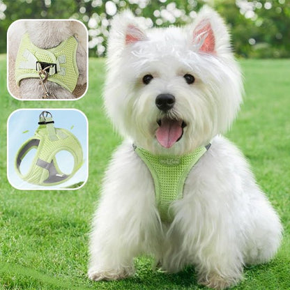Harnais pour chien | HarnaisToutou - empire chien