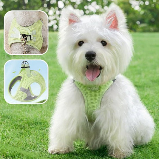 Harnais pour chien | HarnaisToutou - empire chien