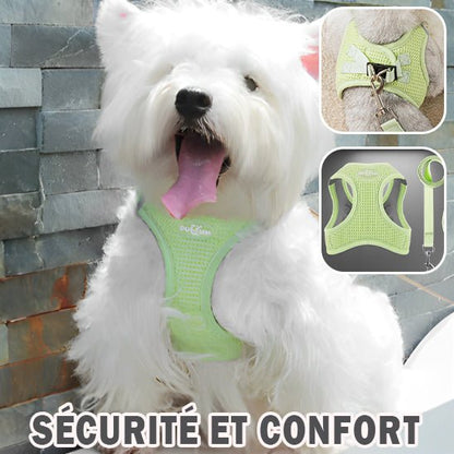 Harnais pour chien | HarnaisToutou - empire chien