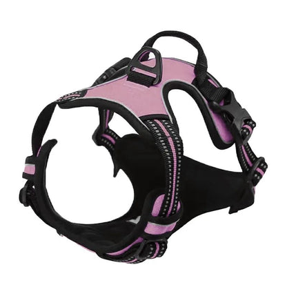 Harnais pour chien | LumiDog - empire chien