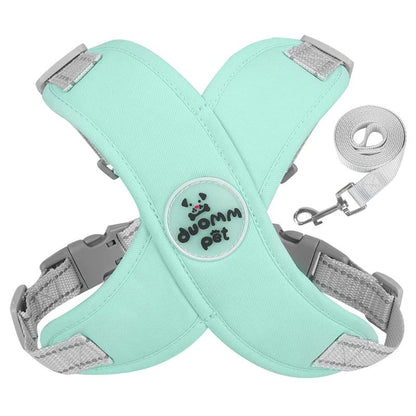 Harnais pour chien | PetiX - Confort - empire chien