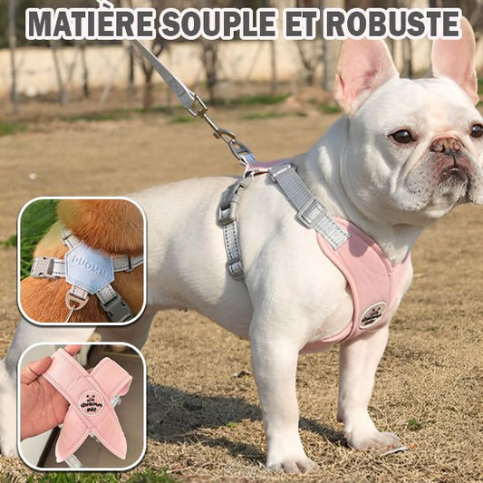 Harnais pour chien | PetiX - Confort - empire chien