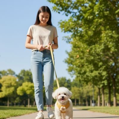 Harnais pour petit Chien | Confort Plus - empire chien