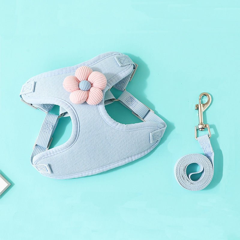Harnais pour petit Chien | Confort Plus - empire chien
