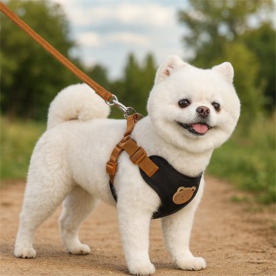 Harnais pour petit Chien | Harnaisou - empire chien