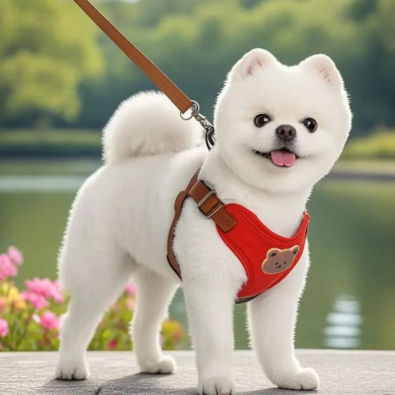 Harnais pour petit Chien | Harnaisou - empire chien