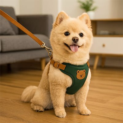 Harnais pour petit Chien | Harnaisou - empire chien