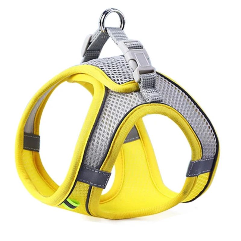 Harnais pour petit chien | Respihar - empire chien