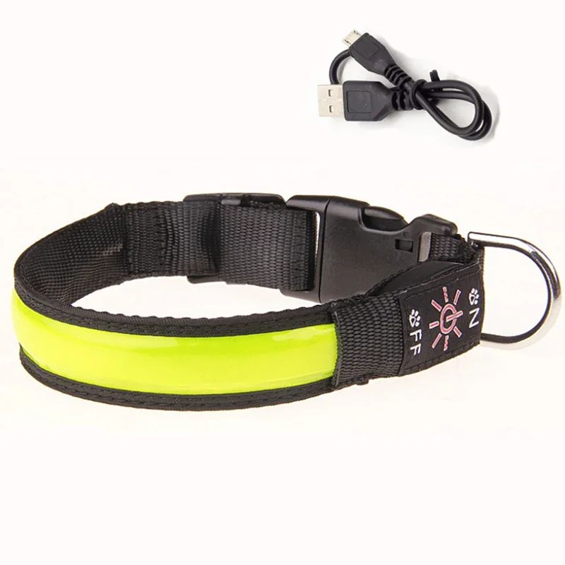 Colliers lumineux pour chiens | Lumidog