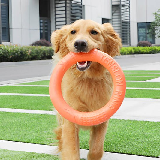 Jouet pour chien | AnneauFun - empire chien