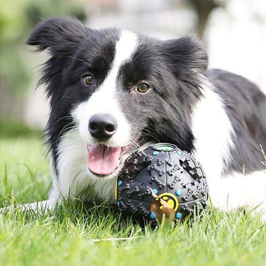 Jouet pour chien | BouleFun - empire chien