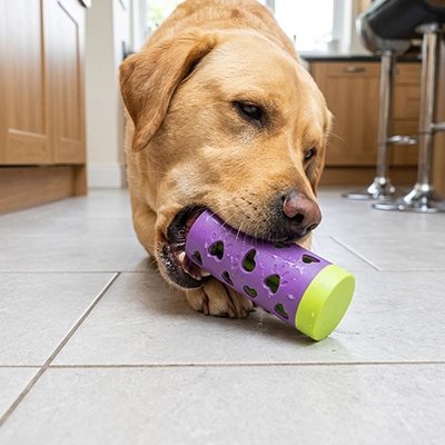 Jouet pour chien distributeur de friandises | Friandix - empire chien