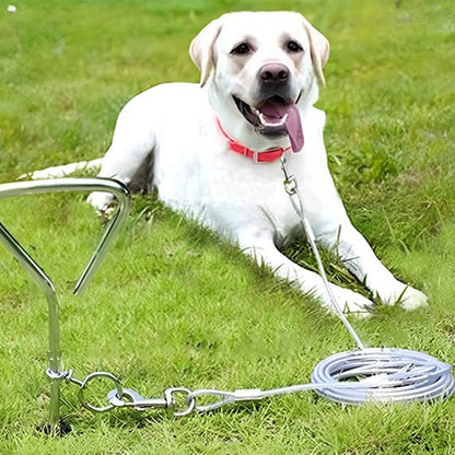 laisse chien | CourLaisse - empire chien