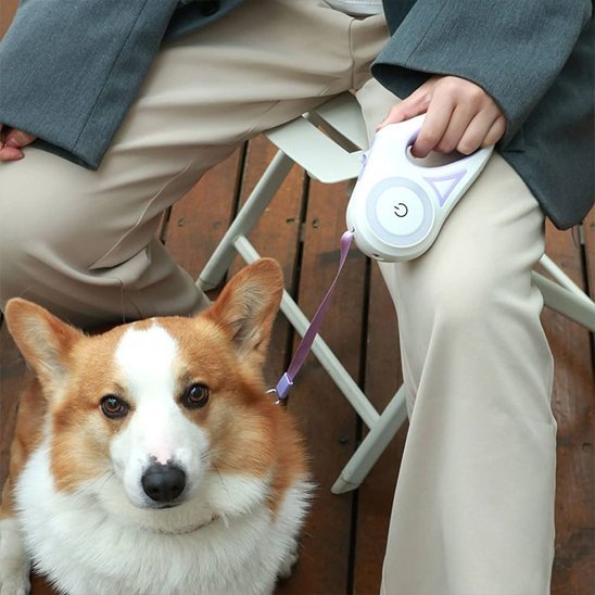 Laisse chien enrouleur | Flashpatte - empire chien
