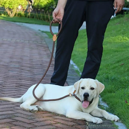 Laisse chien | LaissePro - empire chien